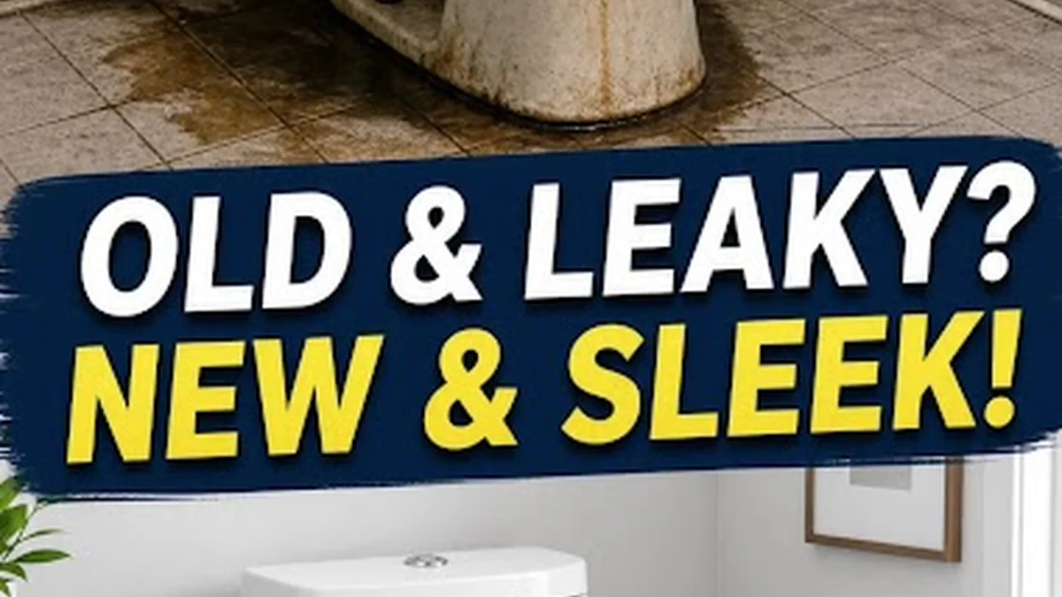 Beak Plumbing Miami featured image